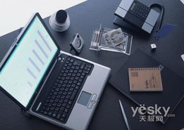 压力与机遇同在 2008年国内台式电脑市场综述